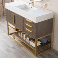 48" Columbia Single Bathroom Vanity, Ash Gray w/ Radiant Gold Base and Glossy White Composite Stone Top
