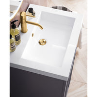 24" Alicante' Single Bathroom Vanity, Grey Smoke, Radiant Gold Base